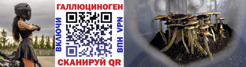 Псилоцибиновые грибы Psilocybe  ссылка на мегу вход  Кола 
